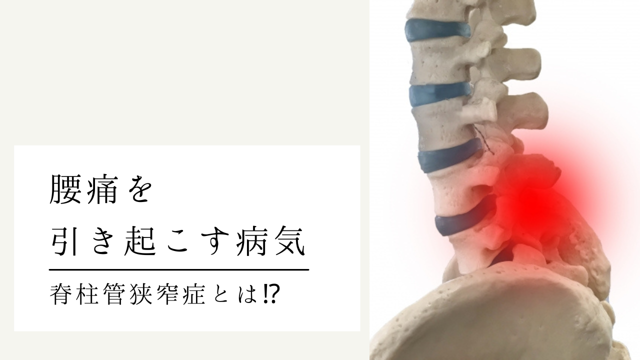 ライフスタイルの変化
