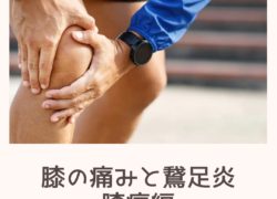 膝の痛みと鵞足炎の関係性　膝痛編