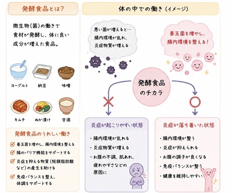 更年期発酵食品