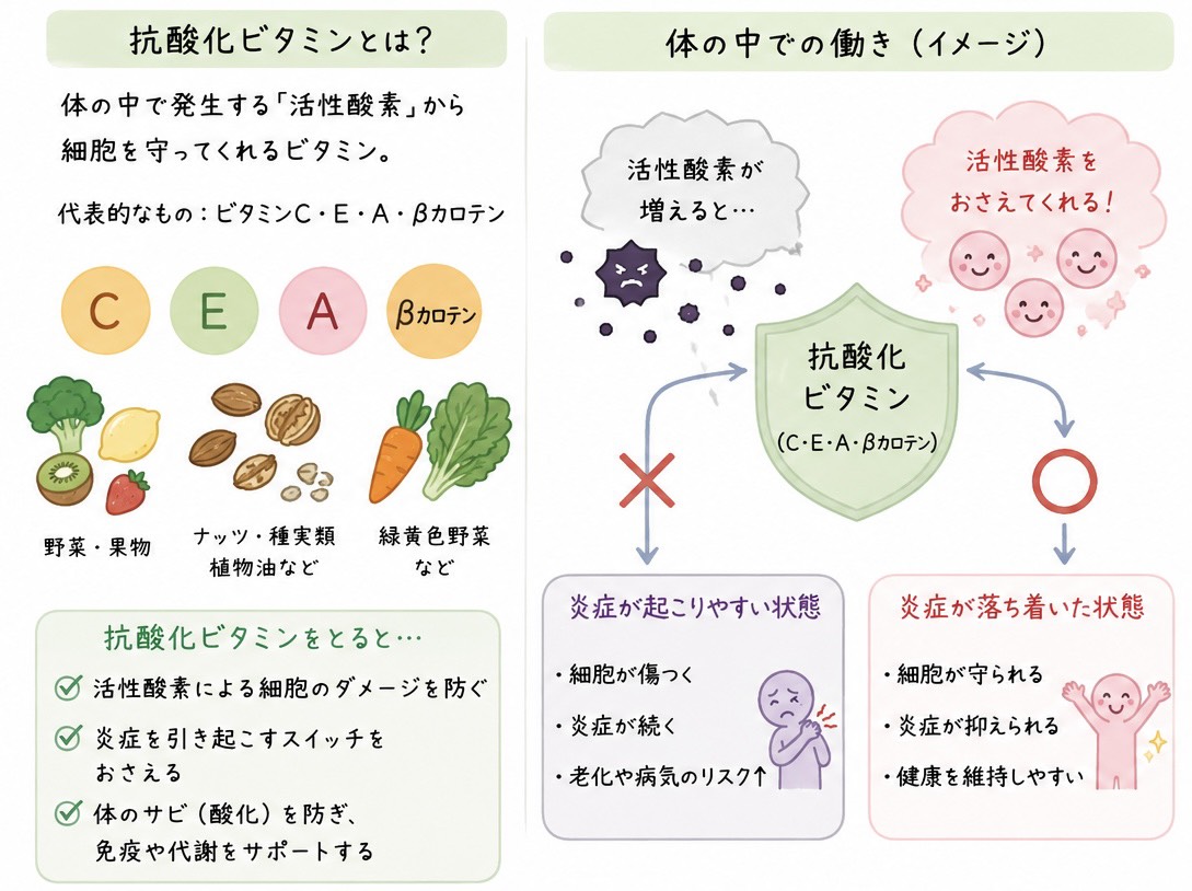 更年期抗酸化ビタミン