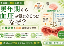 【更年期×自律神経】「血圧が変わってきた？」更年期と自律神経・血圧の意外な関係